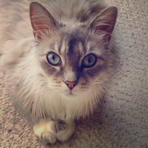 Meet your Posher, Sharon